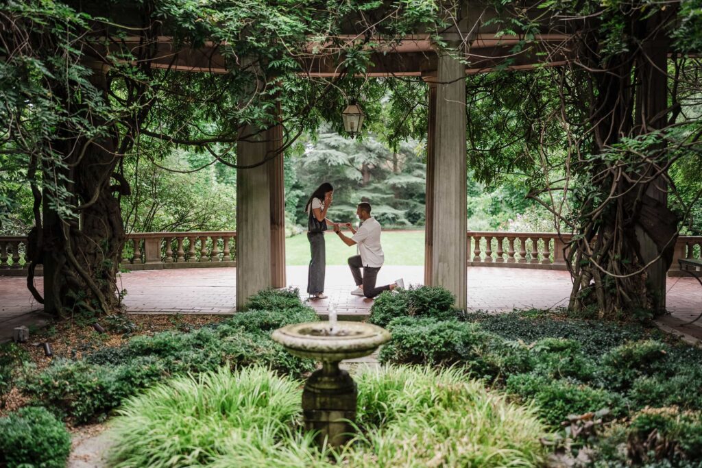 Man proposing on one knee under the wisteria pergola at Van Vleck House Montclair NJ