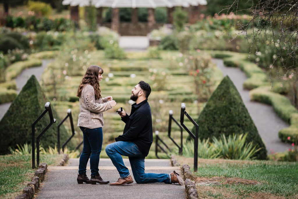 Deep Cut Gardens proposal photography by Alex Kaplan - groom on one knee proposing with formal gardens and white gazebo in background Middletown NJ