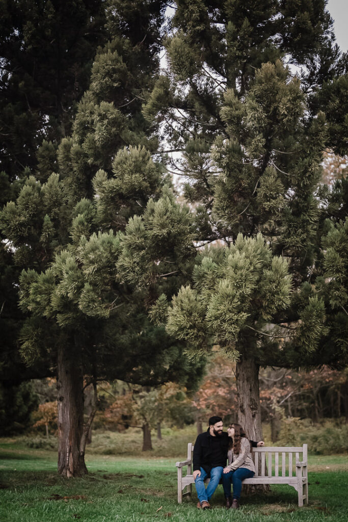 Intimate engagement portrait on bench under evergreen trees at Deep Cut Gardens - New Jersey engagement photography