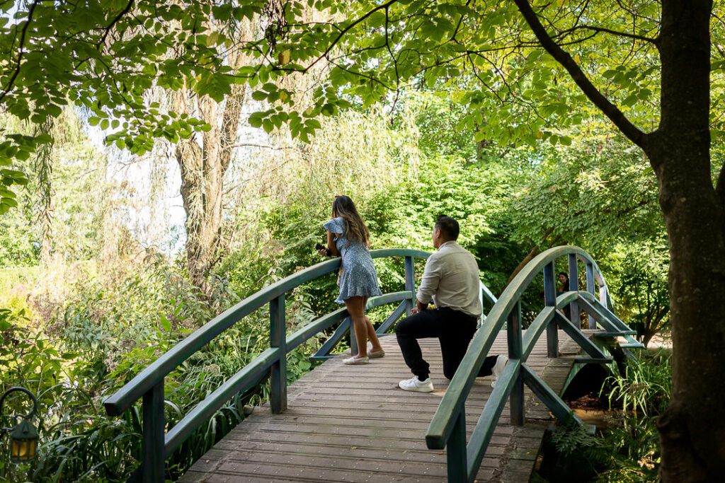 Surprise marriage proposal on green arched bridge at Grounds for Sculpture with lush garden and weeping willow trees