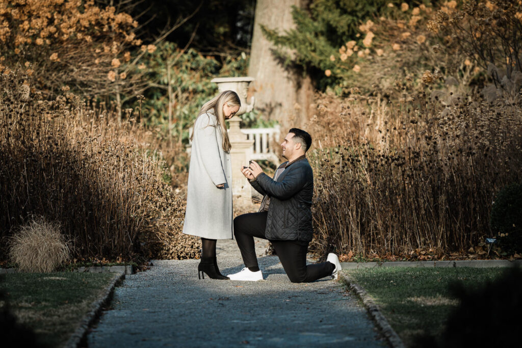 Man proposing on one knee to woman at Van Vleck House and Gardens Montclair NJ with white bench and ornamental grasses in background