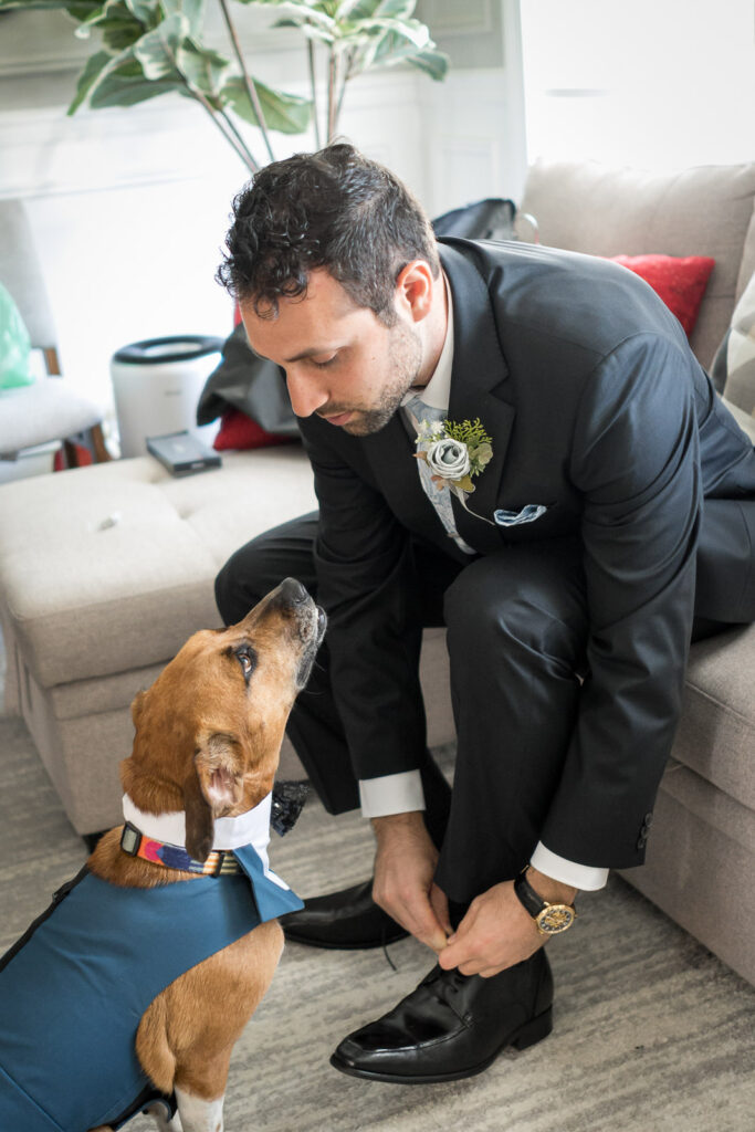 Groom Rob in charcoal suit getting ready with rescue dog GriGri wearing blue suit jacket in Fair Lawn home wedding