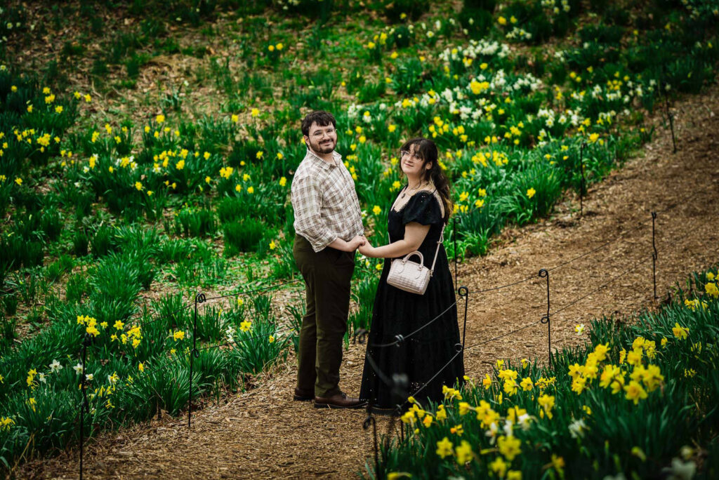 Couple holding hands on daffodil garden path at Reeves-Reed Arboretum in Summit New Jersey spring