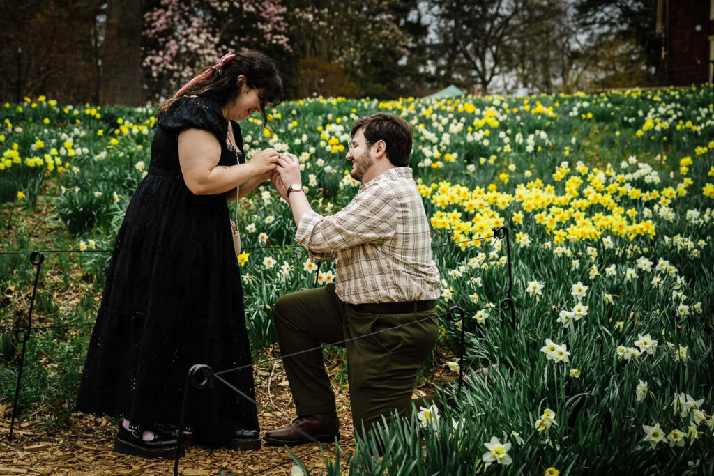 Close shot of man placing engagement ring on partner's finger amid spring daffodils in New Jersey