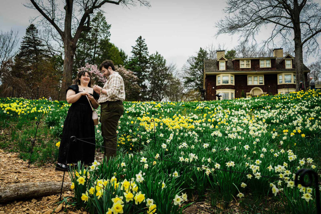 Newly engaged couple admiring engagement ring surrounded by daffodils at Reeves-Reed Arboretum New Jersey