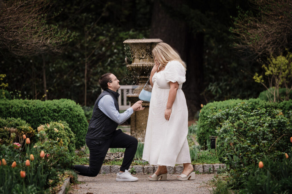 Man on one knee proposing near stone fountain at Van Vleck Gardens Montclair NJ