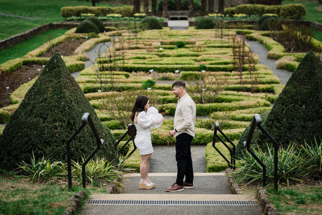 Couple looking at the engagement ring together in the Deep Cut Gardens parterre — formal hedgerows behind them