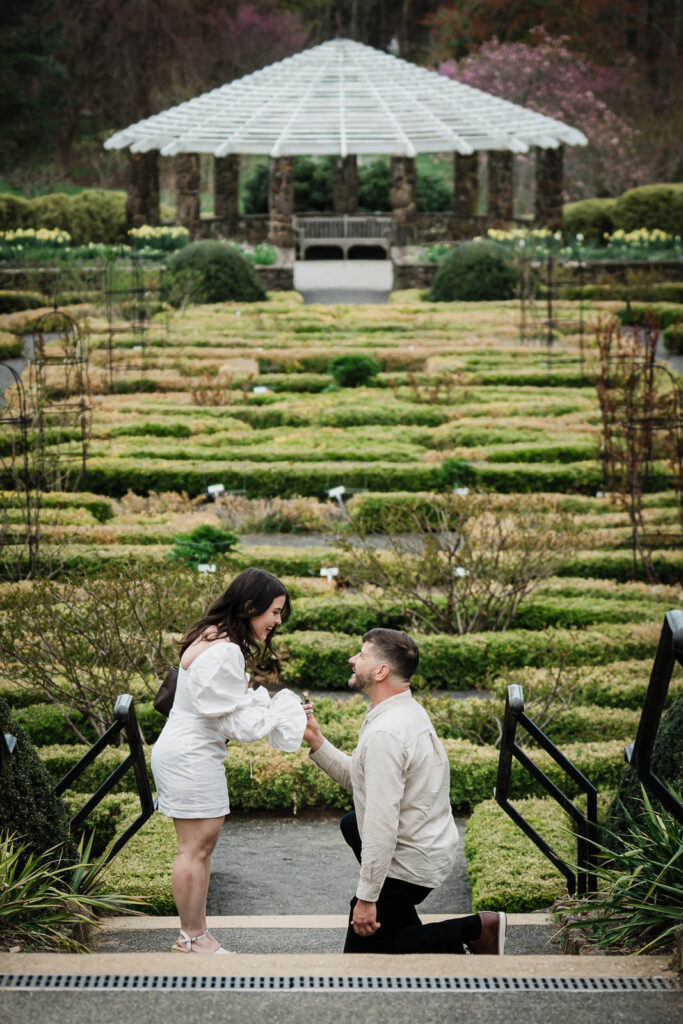 Dryellen's reaction the moment Luiz proposed at Deep Cut Gardens NJ — reaching toward him as he kneels in the formal parterre garden