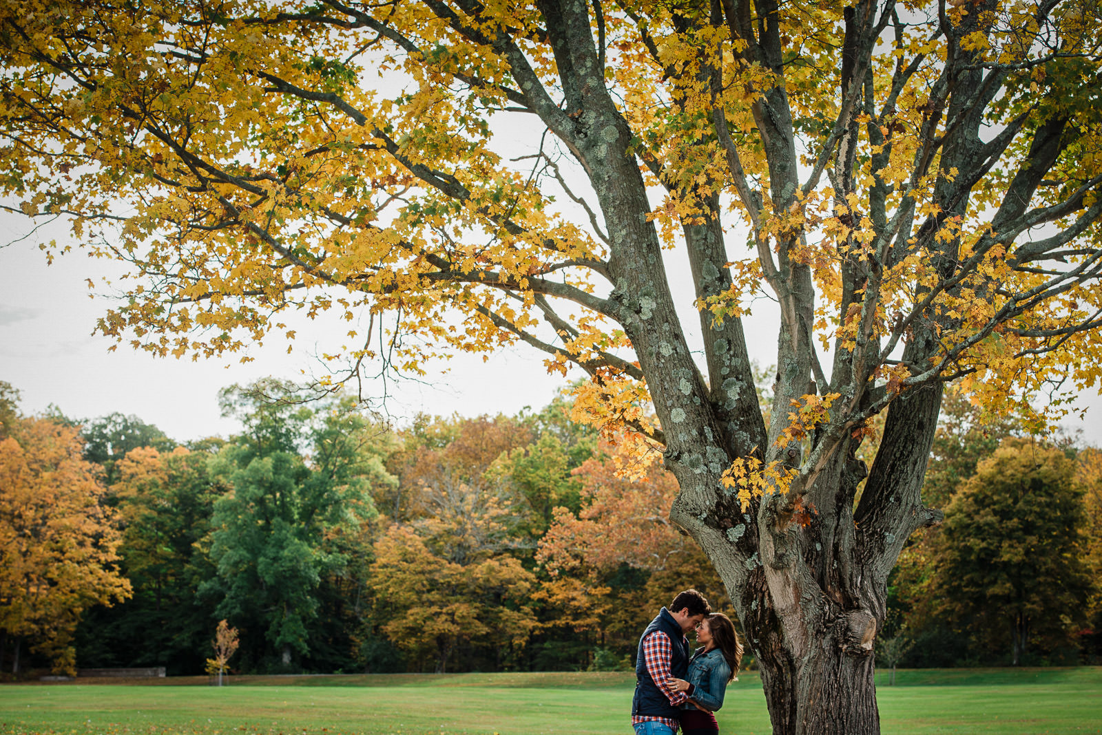 Fall engagement photos at Natirar New Jersey with golden foliage and scenic landscape