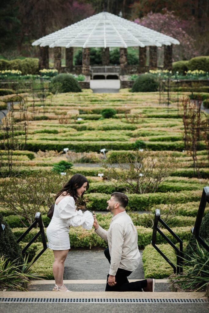 Partner reacting to a surprise proposal on the parterre steps at Deep Cut Gardens