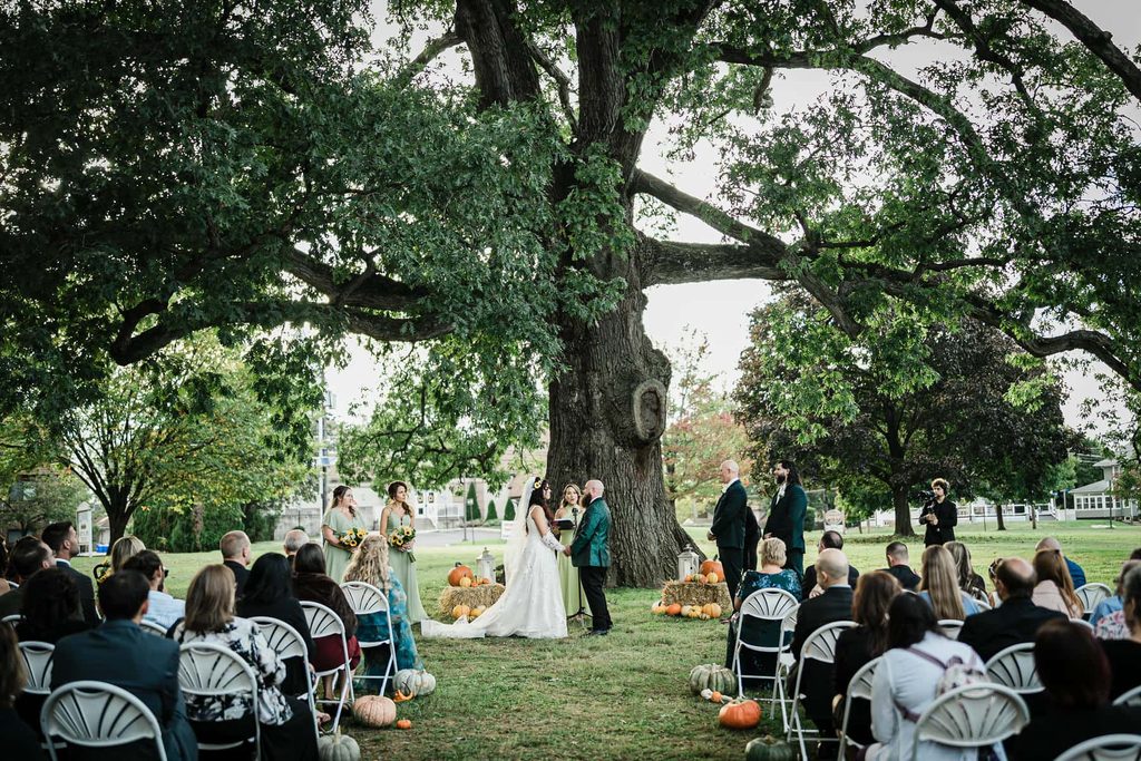 Wedding guests seated beneath a large oak tree for an outdoor ceremony at Collingswood Grand Ballroom